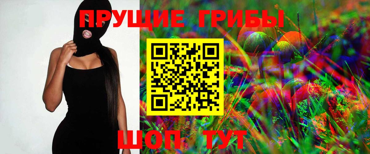 Брянск  Псилоцибиновые грибы Psilocybe  Вход с VPN  Галлюциногенные грибы GOLDEN TEACHER 