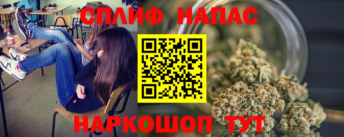 Брянск  Марихуана план  Вход с VPN  Бошки марихуана конопля  Канабис ГИДРОПОН  Бошки Шишки сатива 